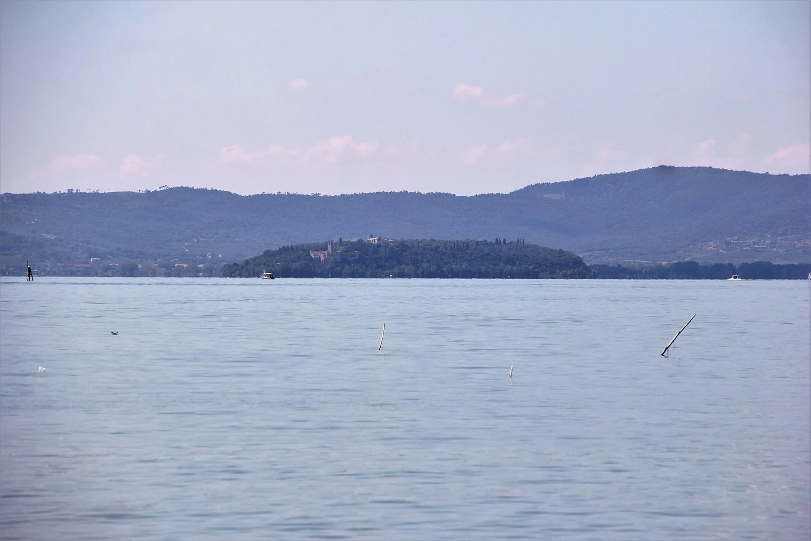 L'Isola Maggiore sul Lago Trasimeno vista dalla riva, con il bosco, il campanile e le colline sullo sfondo