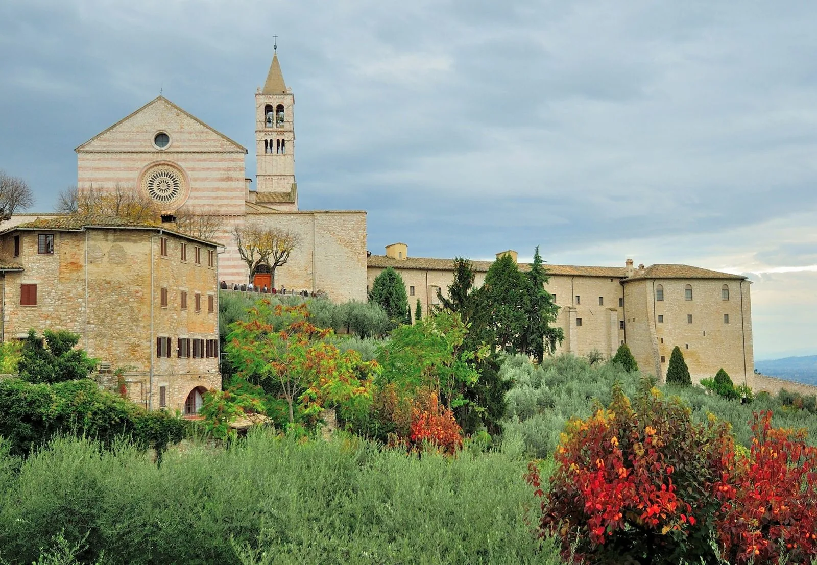 La Basilica di Santa Chiara ad Assisi con olivi e arbusti dalle foglie rosse e arancioni dell'autunno in primo piano